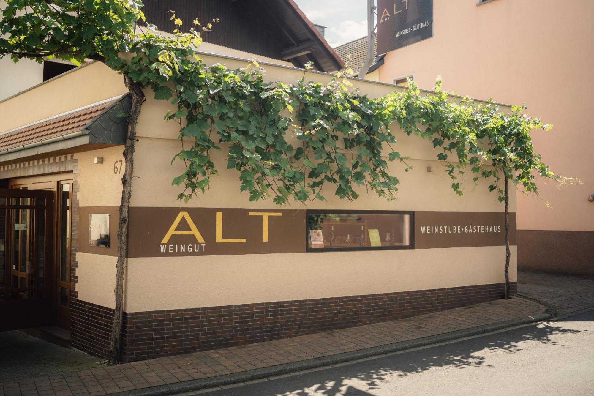 Weingut Und Gaestehaus Holger Alt Monzingen Εξωτερικό φωτογραφία