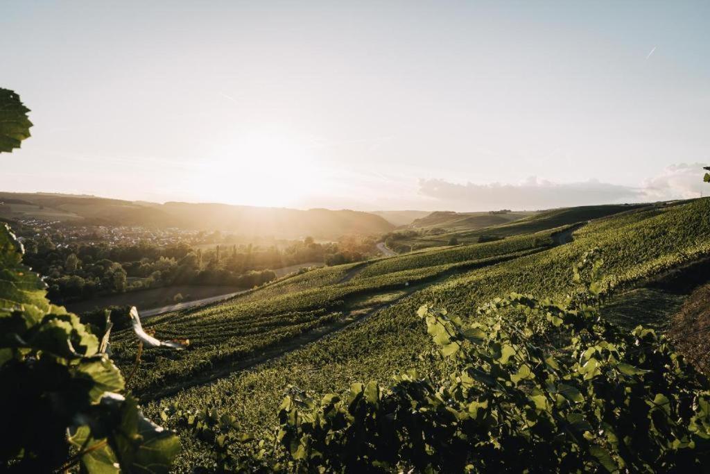 Weingut Und Gaestehaus Holger Alt Monzingen Εξωτερικό φωτογραφία