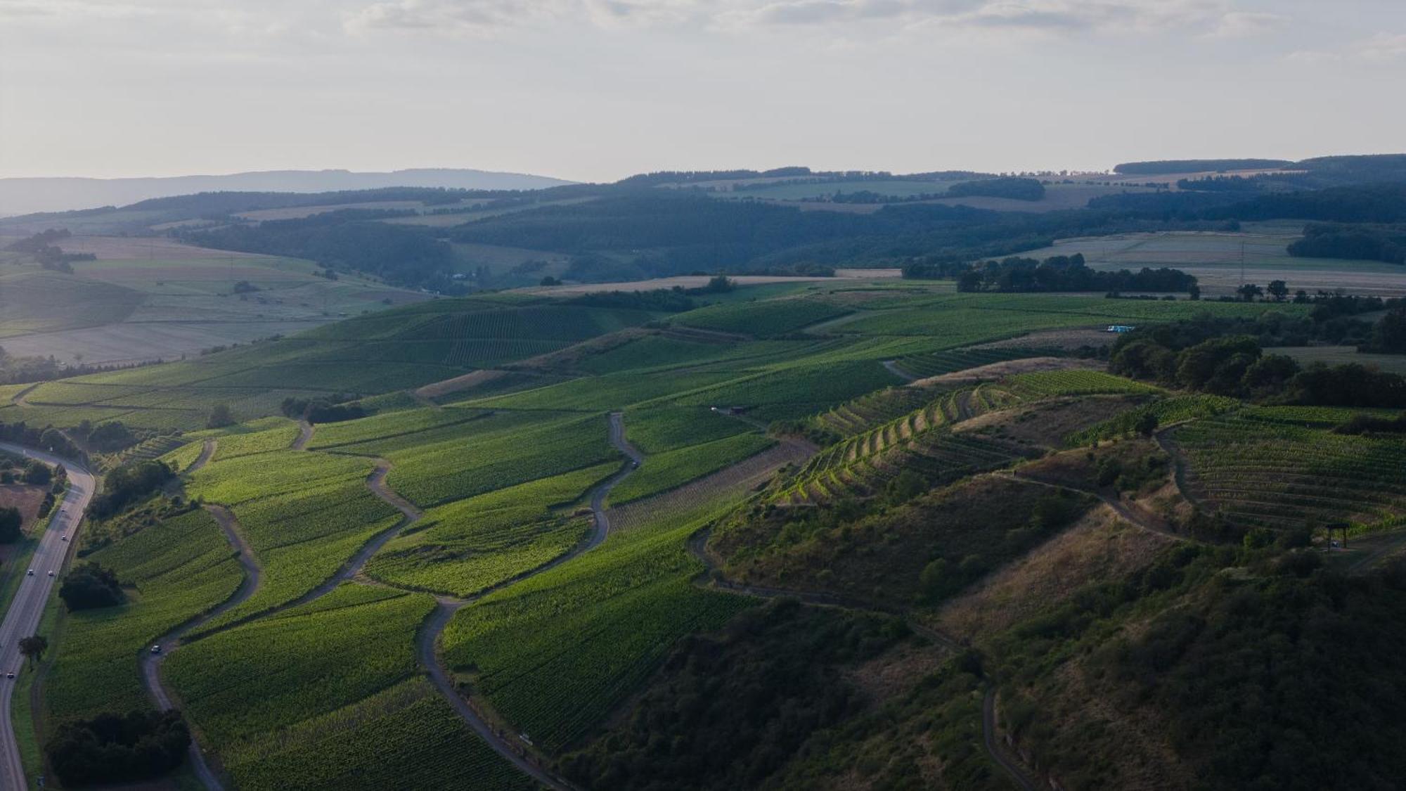 Weingut Und Gaestehaus Holger Alt Monzingen Εξωτερικό φωτογραφία